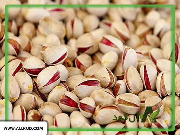 انواع پسته چند نوع است و به صرفه‌ترین نوع آن برای کشت کدام است؟