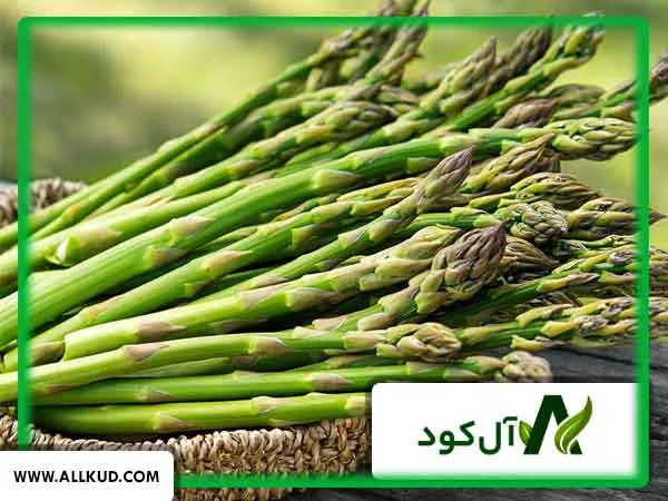 بهترین برنامه کود دهی برای مارچوبه