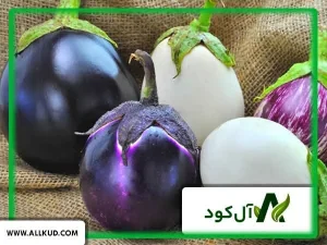 بهترین کود برای افزایش تناژ بادمجان