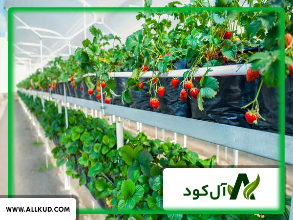 تکنولوژی‌های نوین در کشاورزی