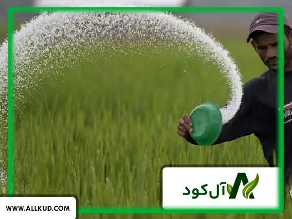 خرید و قیمت کود اوره با کیفیت در بازار