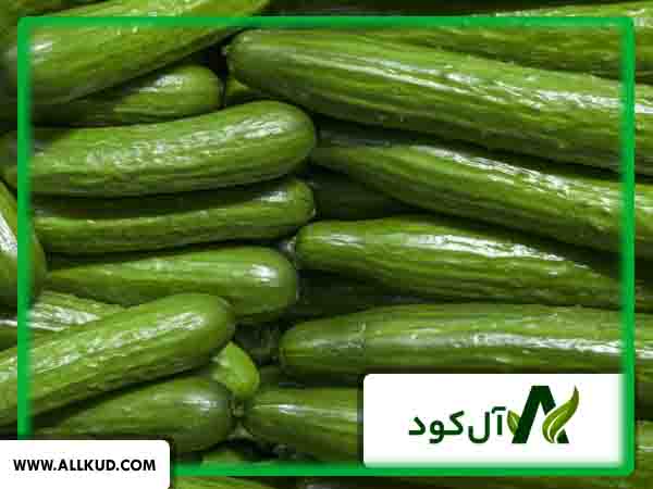 بهترین کود برای باردهی خیار سبز