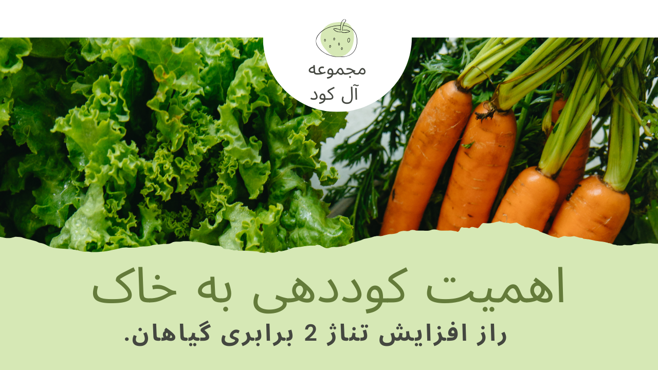 آماده سازی خاک کشاورزی راز افزایش تناژ 2 برابری