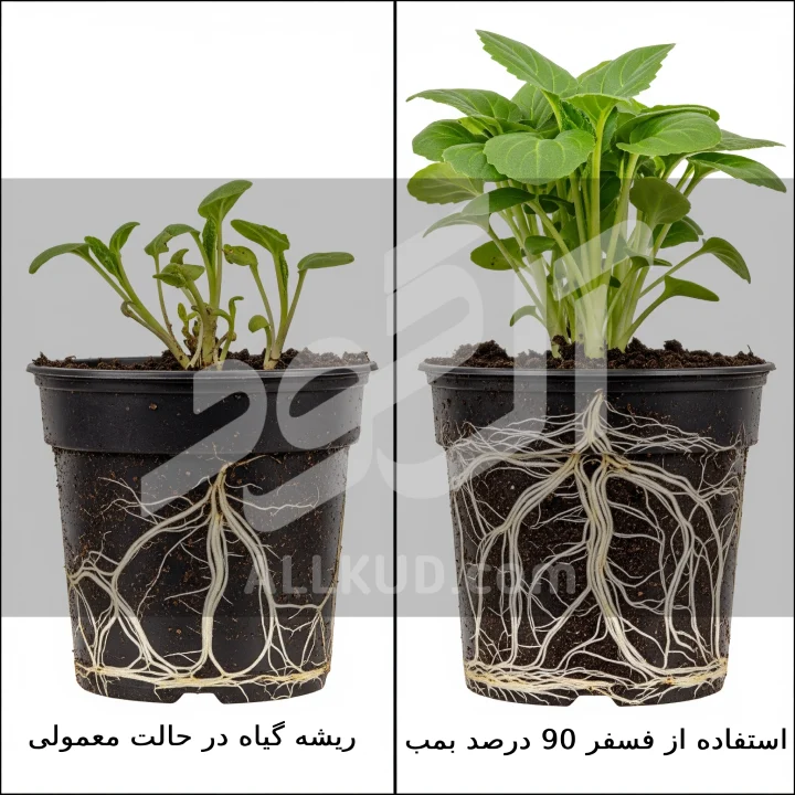 کود فسفر بمب 90 درصد