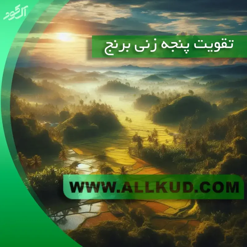 تقویت پنجه زنی برنج
