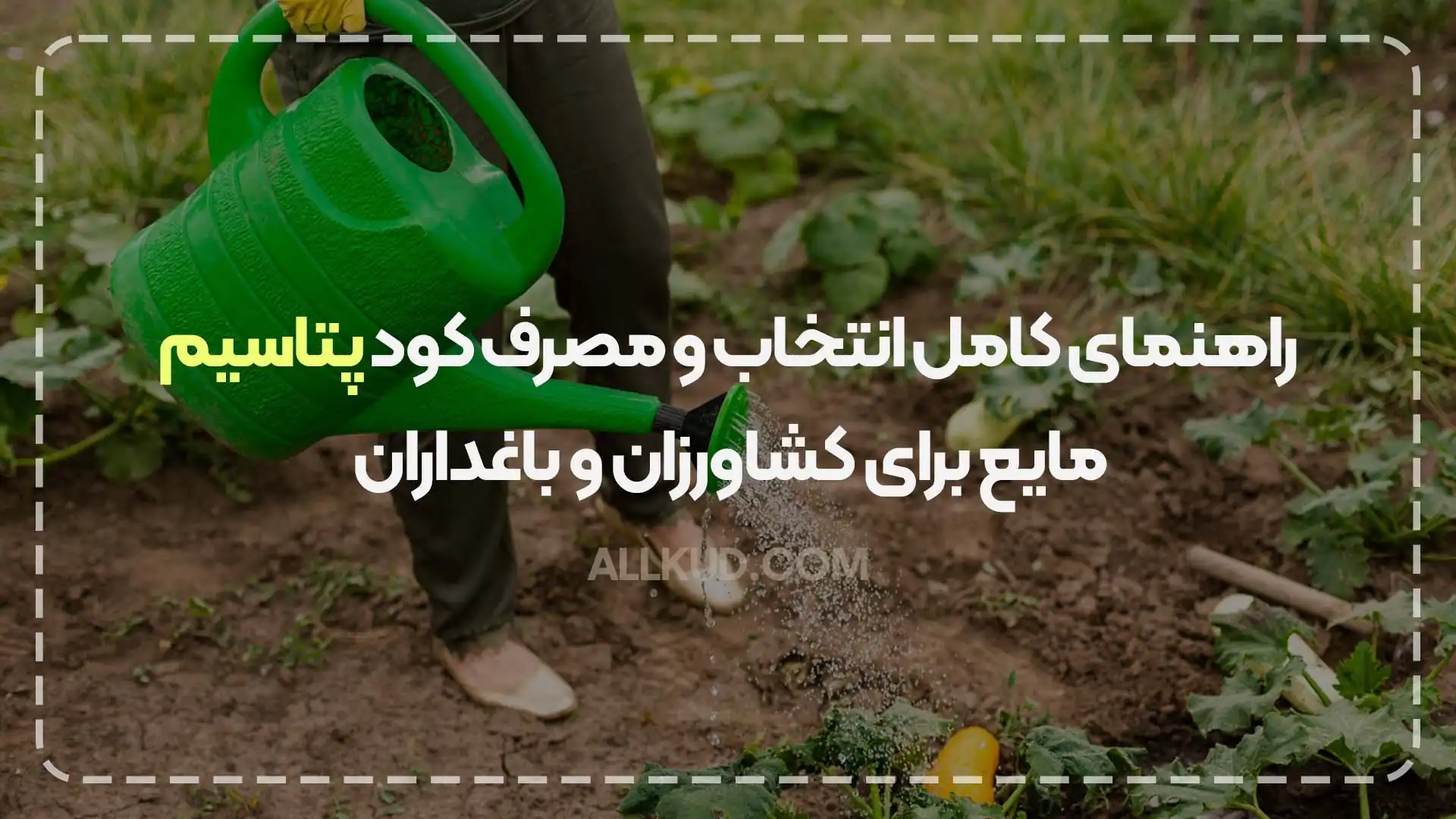 راهنمای کامل انتخاب و مصرف کود پتاسیم مایع برای کشاورزان و باغداران