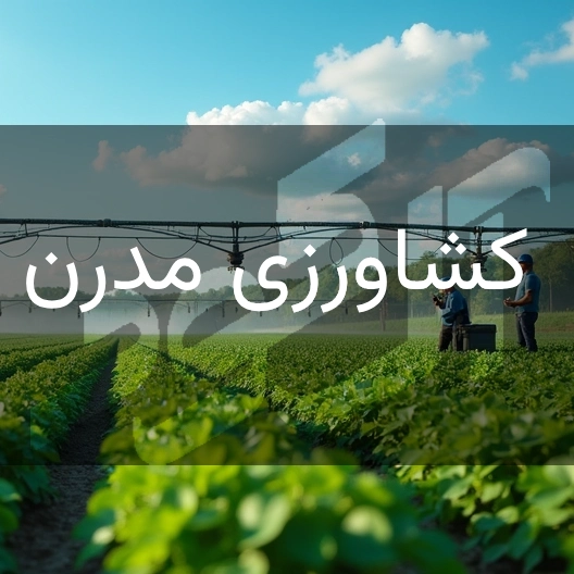 تصویر یک مزرعه