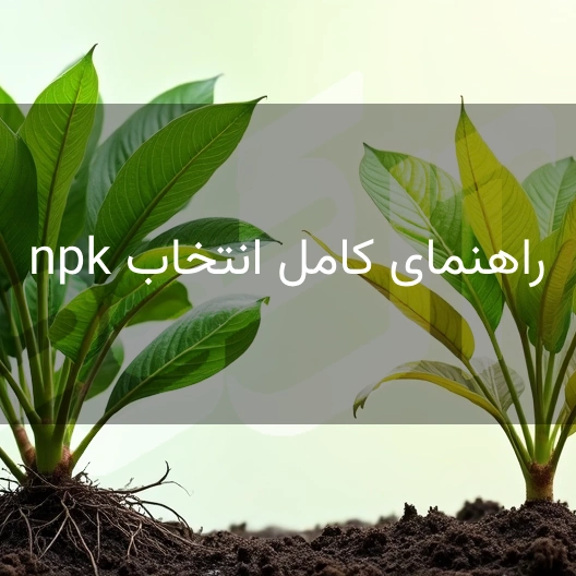 دو گیاه سالم و ضعیف