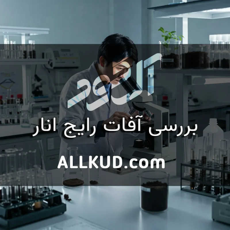 آزمایش خاک و بررسی جامع مواد داخل خاک