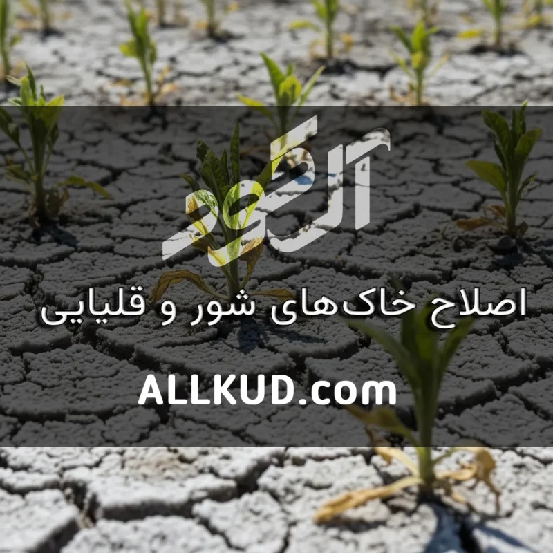 راهکارهای عملی اصلاح خاک‌های شور و قلیایی با استفاده از گوگرد و کودهای کشاورزی