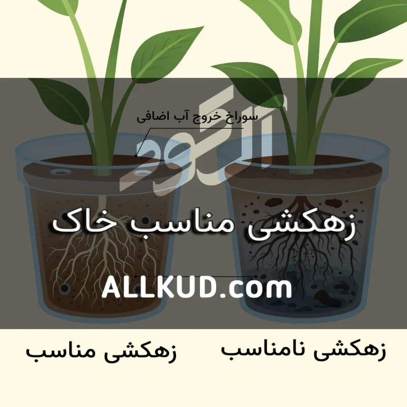 اهمیت زهکشی مناسب خاک و روش‌های ایجاد آن در باغچه و گلدان
