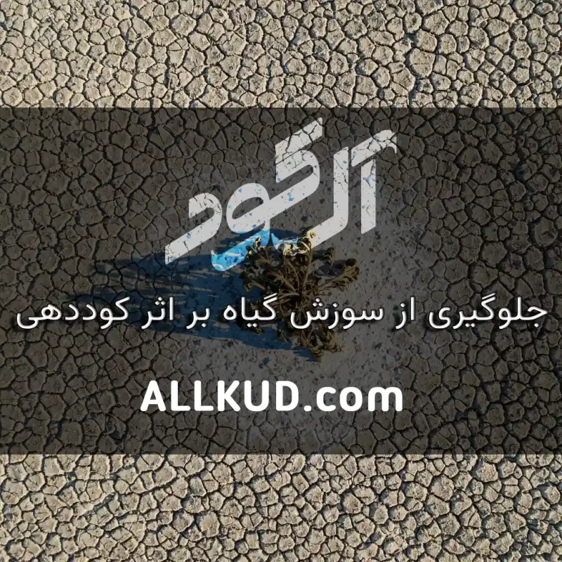 تصویر خاک خشک و گیاه سوخته