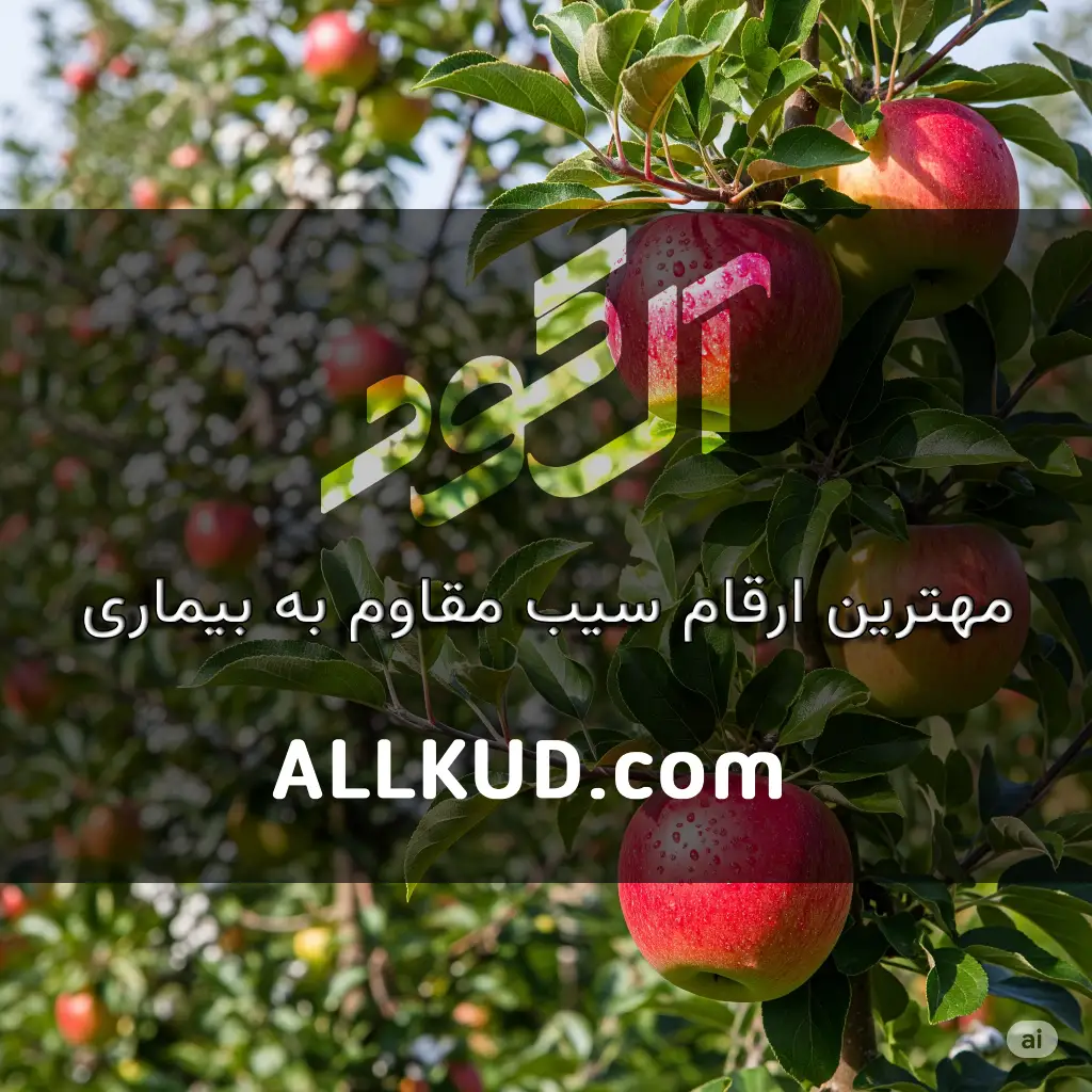 معرفی بهترین ارقام سیب مقاوم به بیماری‌های رایج (سفیدک، لکه سیاه)