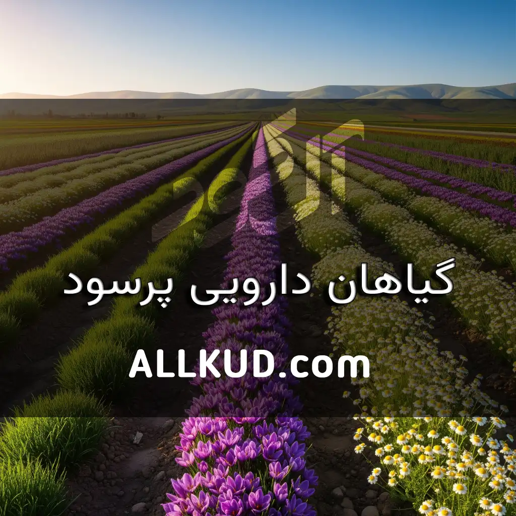 معرفی گیاهان دارویی پرسود قابل کشت در ایران