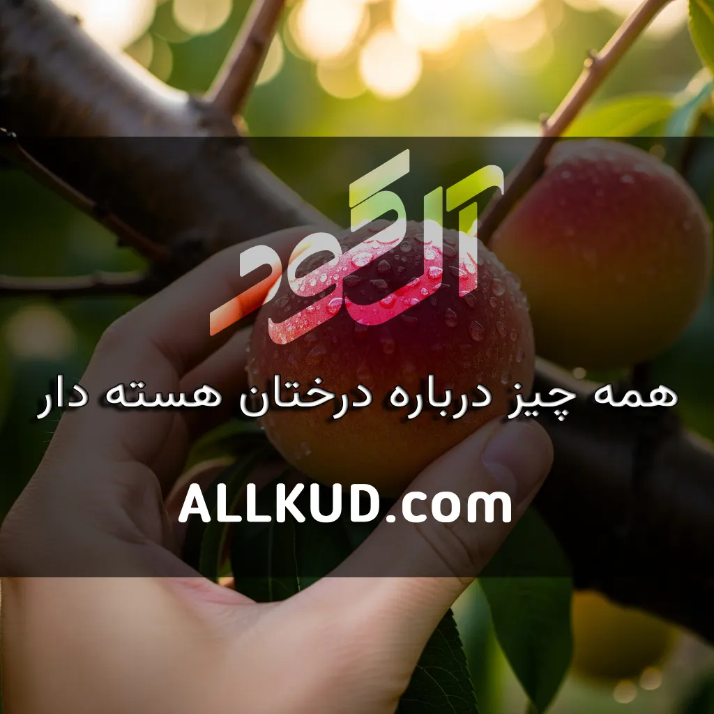 اصول و تکنیک‌های باردهی و هرس درختان میوه هسته‌دار