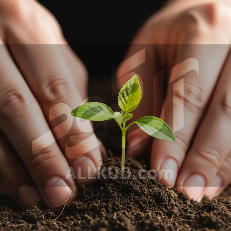 اصول و تکنیک های باغبانی و کشاورزی