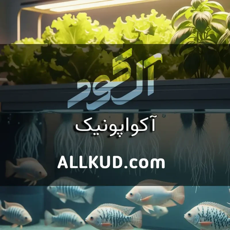 روشی خلاقانه آکواپونیک