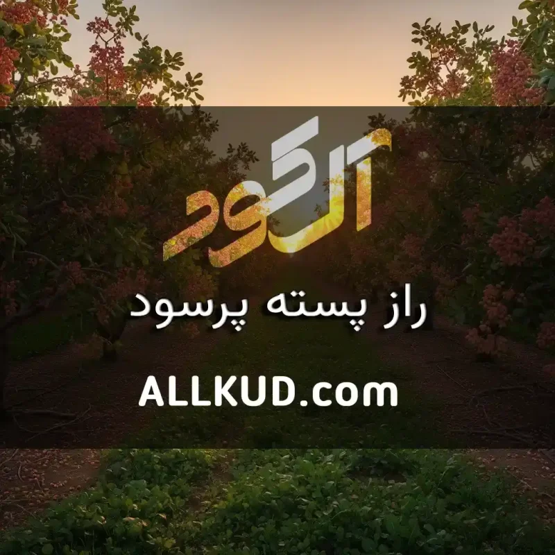 راهنمای کاشت پسته
