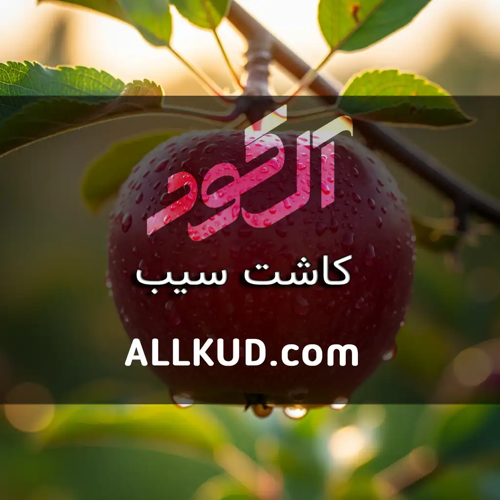 راهنمای جامع کاشت درخت سیب؛ از کاشت تا برداشت