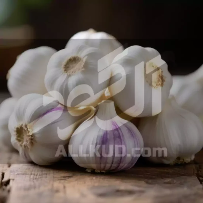 افزایش عملکرد سیر
