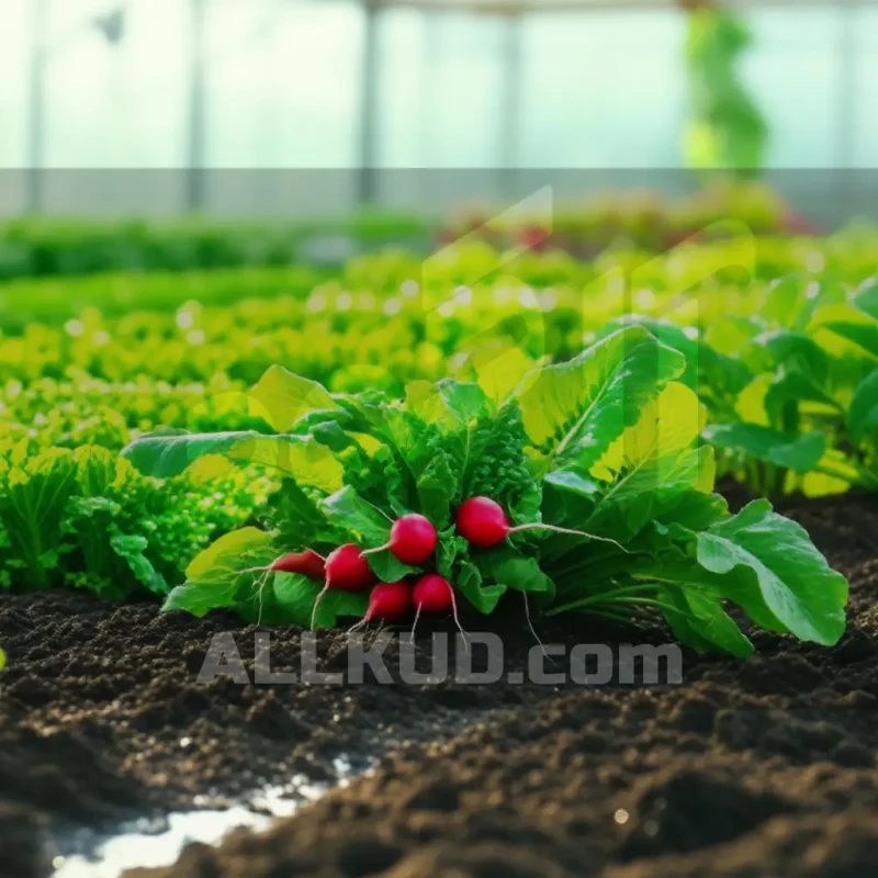 پرورش و کاشت سبزی در گلخانه: از انتخاب بذر تا سودآوری