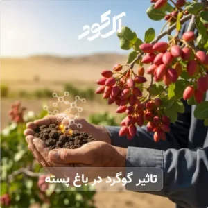 تاثیر گوگرد در باغ پسته‌