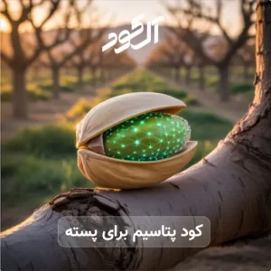 کود پتاسیم برای پسته