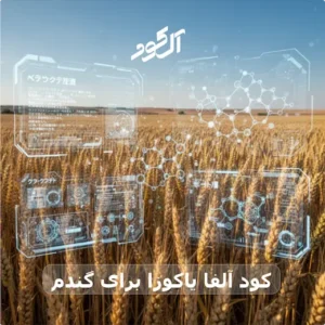 کود آلفا یاکوزا برای گندم