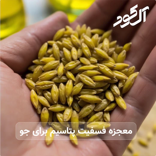 معجزه فسفیت پتاسیم برای جو