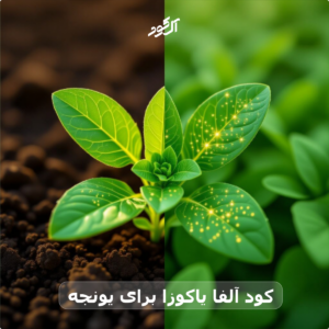 کود آلفا یاکوزا برای یونجه