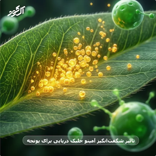 تاثیر شگفت‌انگیز آمینو جلبک دریایی برای یونجه