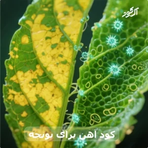 کود آهن برای یونجه