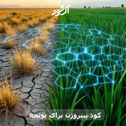 کود نیتروژن برای یونجه