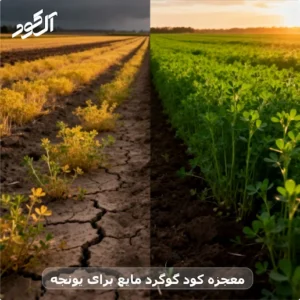 معجزه کود گوگرد مایع برای یونجه