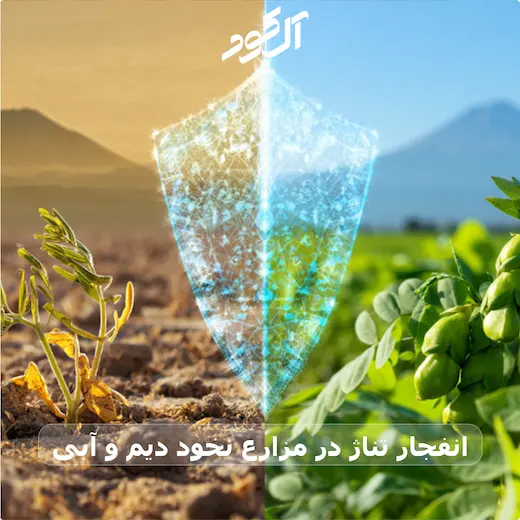 انفجار تناژ در مزارع نخود دیم و آبی