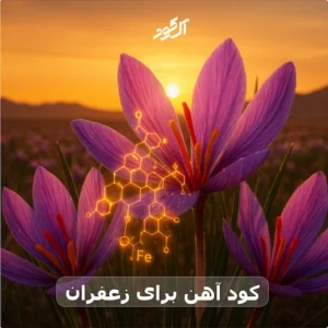 کود آهن برای زعفران