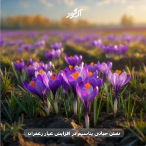 نقش حیاتی پتاسیم در افزایش عیار زعفران