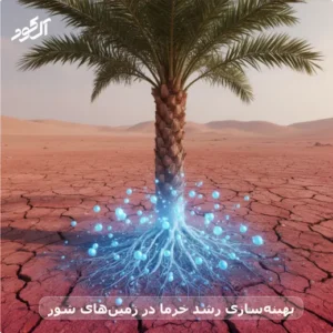 بهینه‌سازی رشد خرما در زمین‌های شور