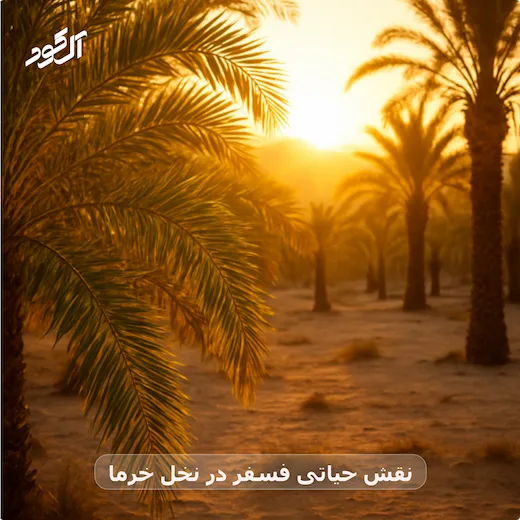 نقش حیاتی فسفر در نخل خرما