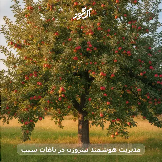 مدیریت هوشمند نیتروژن در باغات سیب