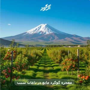 معجزه گوگرد مایع در باغات سیب