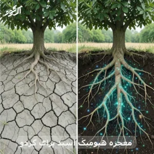 معجزه هیومیک اسید برای گردو