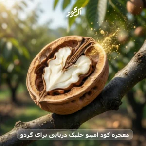 معجزه کود آمینو جلبک دریایی برای گردو