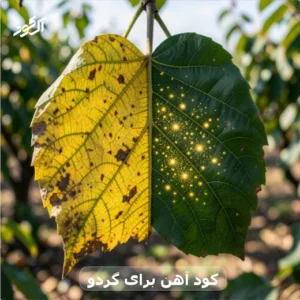 کود آهن برای گردو