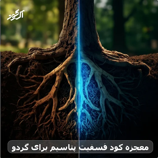 معجزه کود فسفیت پتاسیم برای گردو