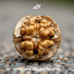 راز گردوهای سنگین و مغز سفید