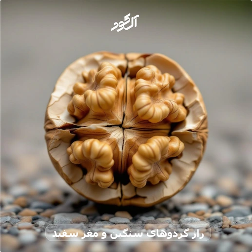 راز گردوهای سنگین و مغز سفید