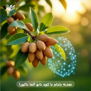 تغذیه بادام با کود نانو آلفا یاکوزا