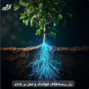 راز ریشه‌های فولادی و مغز پر بادام