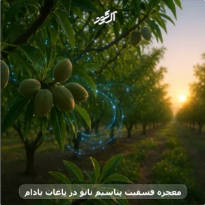 معجزه فسفیت پتاسیم نانو در باغات بادام